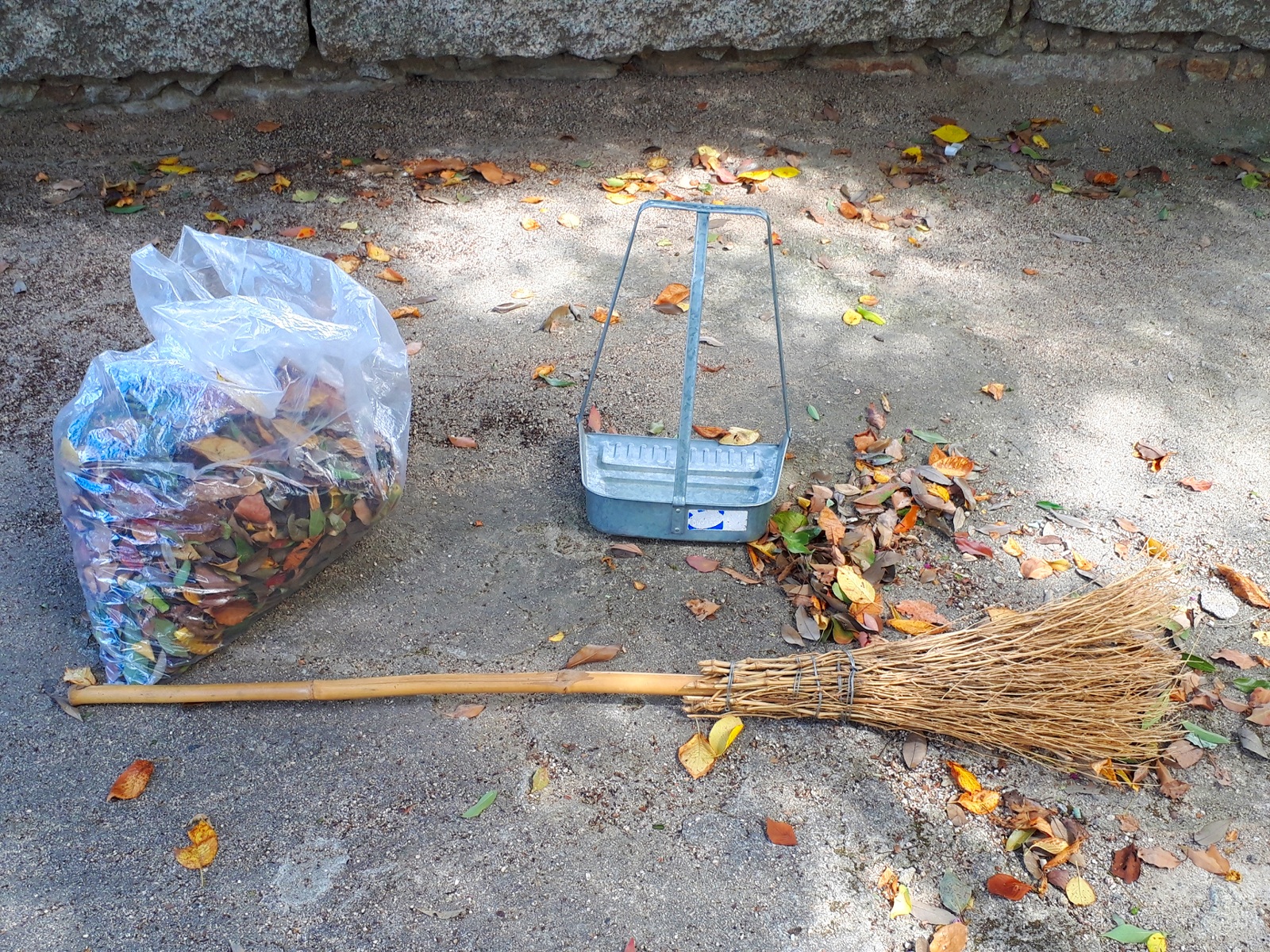 庭の掃除で落ち葉を効率よく集める便利アイテムやコツと活用法